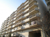 _ސ쌧lstt1ڂ̒Ã}V̉摜