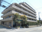 _ސ쌧lstsP598-1̒Ã}V̉摜