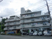 _ސ쌧ls˒ˋ˒˒3153-1̒Ã}V̉摜