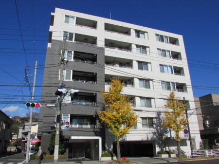 �_�ސ쌧���l�s����{�q��2���ڂ̒��Ã}���V�����̉摜